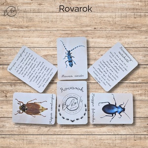 Rovarok kártyacsomag DIGITÁLIS  - játék & sport - táblajáték és kártyajáték - kártya - Meska.hu
