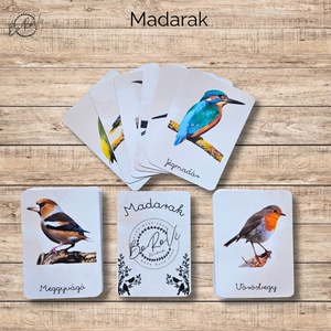 Ismeretterjesztő kártyacsomagok - Meska.hu