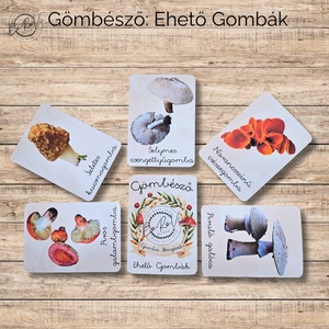 Ismeretterjesztő kártyacsomagok - Meska.hu