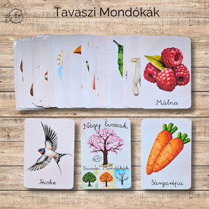 Négy Évszak-Tavaszi Mondókák kártyacsomag, Játék & Sport, Készségfejlesztő és Logikai játék, Oktató játékok, Fotó, grafika, rajz, illusztráció, MESKA