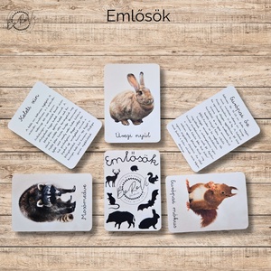 Emlősök Ismeretterjesztő kártyacsomag  - játék & sport - táblajáték és kártyajáték - kártya - Meska.hu