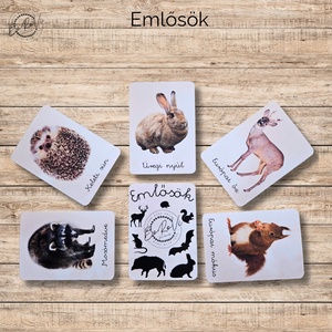 Emlősök Ismeretterjesztő kártyacsomag  - játék & sport - táblajáték és kártyajáték - kártya - Meska.hu