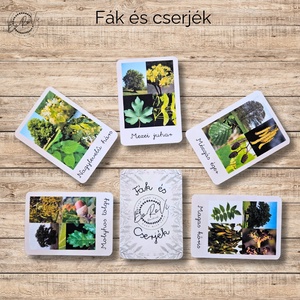Fák és cserjék Ismeretterjesztő kártyacsomagok, Játék & Sport, Táblajáték és Kártyajáték, Kártya, Fotó, grafika, rajz, illusztráció, MESKA