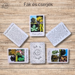 Fák és cserjék Ismeretterjesztő kártyacsomagok - játék & sport - táblajáték és kártyajáték - kártya - Meska.hu