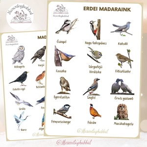 Poszter kerti madarak erdei madarak madaras madaraink - játék & sport - készségfejlesztő és logikai játék - memória játékok - Meska.hu