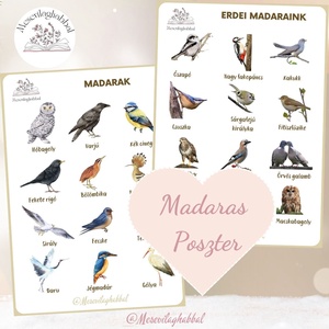 Poszter kerti madarak erdei madarak madaras madaraink - játék & sport - készségfejlesztő és logikai játék - memória játékok - Meska.hu