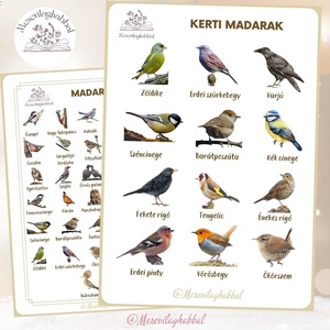 Poszter kerti madarak erdei madarak madaras madaraink - játék & sport - készségfejlesztő és logikai játék - memória játékok - Meska.hu