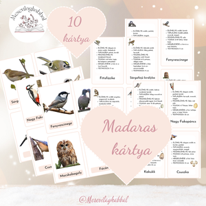 Madaras foglalkoztató csomag - játék & sport - készségfejlesztő és logikai játék - logikai játékok - Meska.hu