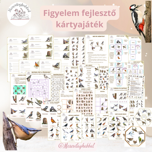 Madaras logikai játék csomag foglalkoztató cortex dobble bingo - Meska.hu