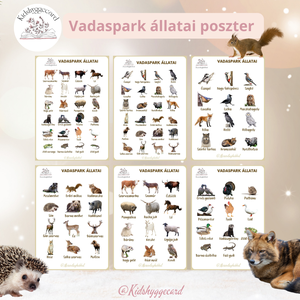 Poszter  6 db Erdei / Házi állatok  vadaspark állatai - játék & sport - készségfejlesztő és logikai játék - memória játékok - Meska.hu