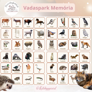 Memória kártya 48 db Vadaspark állatai házi erdei állatok , Játék & Sport, Készségfejlesztő és Logikai játék, Memória játékok, Papírművészet, Mindenmás, MESKA