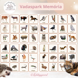 Memória kártya 48 db Vadaspark állatai házi erdei állatok  - Meska.hu