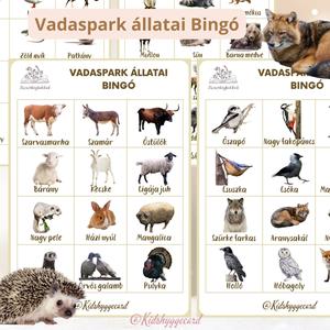 Bingo / Találd ki Erdei / Házi állatok 4 lap vadaspark állatai  - játék & sport - készségfejlesztő és logikai játék - memória játékok - Meska.hu