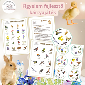 Dobble Húsvét tavasz - játék & sport - készségfejlesztő és logikai játék - memória játékok - Meska.hu