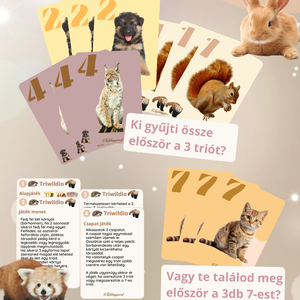 Triwaldio logikai kártyajáték - játék & sport - készségfejlesztő és logikai játék - oktató játékok - Meska.hu