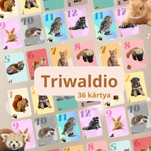 Triwaldio logikai kártyajáték, Játék & Sport, Készségfejlesztő és Logikai játék, Oktató játékok, Mindenmás, MESKA