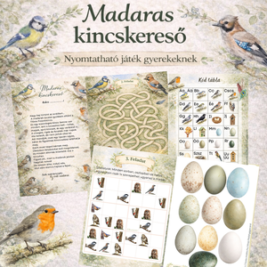 Madaras kincskereső logikai játék szabadulószoba, Játék & Sport, Készségfejlesztő és Logikai játék, Logikai játékok, Papírművészet, Scrapbook, MESKA