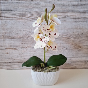 Élethű mini orchidea ovál kerámia  kaspóban II. , Otthon & Életmód, Dekoráció, Asztal és polc dekoráció, Asztaldísz, , MESKA