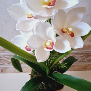 Cymbidium orchidea dekoráció kerámia kaspóban - otthon & életmód - dekoráció - asztal és polc dekoráció - asztaldísz - Meska.hu