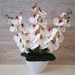 Három szálas orchidea dekoráció kerámia kaspóban, Otthon & Életmód, Dekoráció, Asztal és polc dekoráció, Asztaldísz, , MESKA