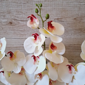 Három szálas orchidea dekoráció kerámia kaspóban - otthon & életmód - dekoráció - asztal és polc dekoráció - asztaldísz - Meska.hu