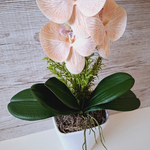 Orchidea dekoráció kerámia kaspóban V. - otthon & életmód - dekoráció - asztal és polc dekoráció - asztaldísz - Meska.hu
