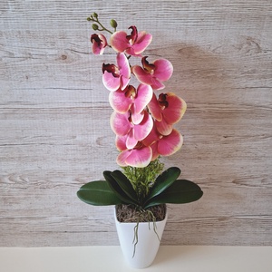 Orchidea dekoráció kerámia kaspóban VI., Otthon & Életmód, Dekoráció, Asztal és polc dekoráció, Asztaldísz, , MESKA