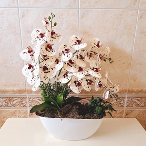 Különleges orchidea dekoráció csónak kaspóban II., Otthon & Életmód, Dekoráció, Asztal és polc dekoráció, Asztaldísz, Virágkötés, MESKA