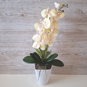 Orchidea dekoráció kerámia kaspóban IV., Otthon & Életmód, Dekoráció, Asztal és polc dekoráció, Asztaldísz, , MESKA
