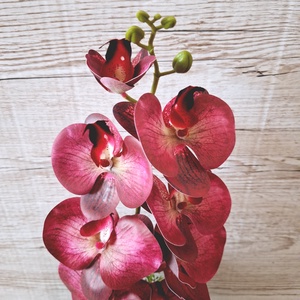 Orchidea dekoráció kerámia kaspóban II. - otthon & életmód - dekoráció - asztal és polc dekoráció - asztaldísz - Meska.hu