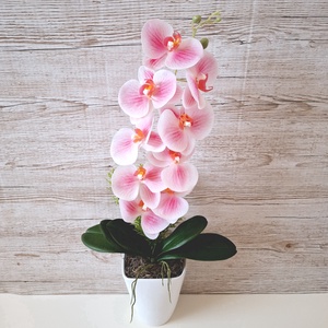 Orchidea dekoráció kerámia kaspóban I., Otthon & Életmód, Dekoráció, Asztal és polc dekoráció, Asztaldísz, , MESKA