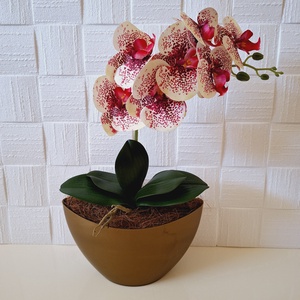 Orchidea csónak kaspóban, Otthon & Életmód, Dekoráció, Asztal és polc dekoráció, Asztaldísz, , MESKA