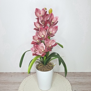 Cymbidium orchidea dekoráció kerámia kaspóban-mályva, Otthon & Életmód, Dekoráció, Asztal és polc dekoráció, Asztaldísz, , MESKA