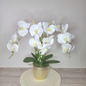 Különleges orchidea dekoráció kerámia kaspóban III. - Meska.hu