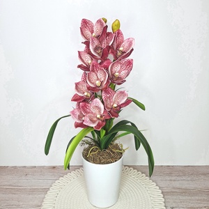 Cymbidium orchidea dekoráció kerámia kaspóban-mályva - otthon & életmód - virágdekoráció - virágdíszek - virágdísz kaspóban - Meska.hu