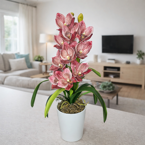 Cymbidium orchidea dekoráció kerámia kaspóban-mályva - Meska.hu