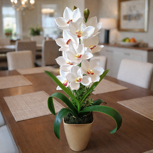 Cymbidium orchidea dekoráció kerámia kaspóban, Otthon & Életmód, Dekoráció, Asztal és polc dekoráció, Asztaldísz, , MESKA