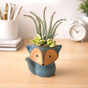 Pozsgás dekoráció rókás kaspóban IV., Otthon & Életmód, Virágdekoráció, Virágdíszek, Virágdísz kaspóban, , MESKA