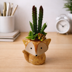 Pozsgás dekoráció rókás kaspóban II., Otthon & Életmód, Virágdekoráció, Virágdíszek, Virágdísz kaspóban, , MESKA