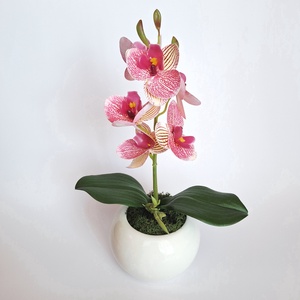 Élethű mini orchidea kerámia gömb kaspóban III. - otthon & életmód - virágdekoráció - virágdíszek - virágdísz kaspóban - Meska.hu