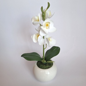 Élethű mini orchidea kerámia gömb kaspóban IV. - otthon & életmód - virágdekoráció - virágdíszek - virágdísz kaspóban - Meska.hu