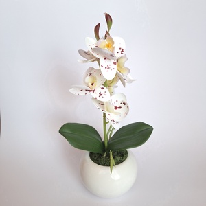 Élethű mini orchidea kerámia gömb kaspóban V. - otthon & életmód - virágdekoráció - virágdíszek - virágdísz kaspóban - Meska.hu