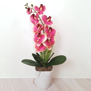Orchidea dekoráció kerámia kaspóban VI. - otthon & életmód - virágdekoráció - virágdíszek - virágdísz kaspóban - Meska.hu