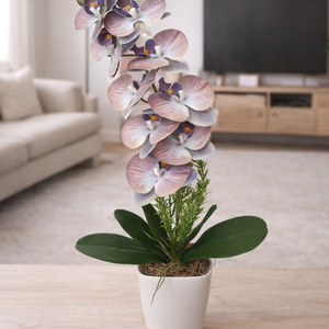 Orchidea dekoráció kerámia kaspóban VII., Otthon & Életmód, Virágdekoráció, Virágdíszek, Virágdísz kaspóban, , MESKA