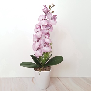 Orchidea dekoráció kerámia kaspóban III. - otthon & életmód - virágdekoráció - virágdíszek - virágdísz kaspóban - Meska.hu
