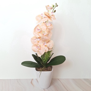 Orchidea dekoráció kerámia kaspóban V. - otthon & életmód - virágdekoráció - virágdíszek - virágdísz kaspóban - Meska.hu