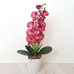 Orchidea dekoráció kerámia kaspóban II. - otthon & életmód - virágdekoráció - virágdíszek - virágdísz kaspóban - Meska.hu