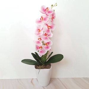 Orchidea dekoráció kerámia kaspóban I. - otthon & életmód - virágdekoráció - virágdíszek - virágdísz kaspóban - Meska.hu