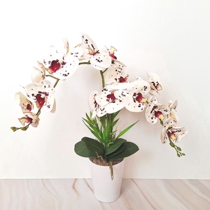 Orchidea dekoráció kerámia kaspóban-pettyes - otthon & életmód - virágdekoráció - virágdíszek - virágdísz kaspóban - Meska.hu