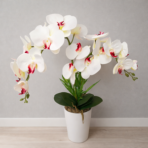 Két szálas orchidea dekoráció kerámia kaspóban, Otthon & Életmód, Virágdekoráció, Virágdíszek, Virágdísz kaspóban, Virágkötés, MESKA